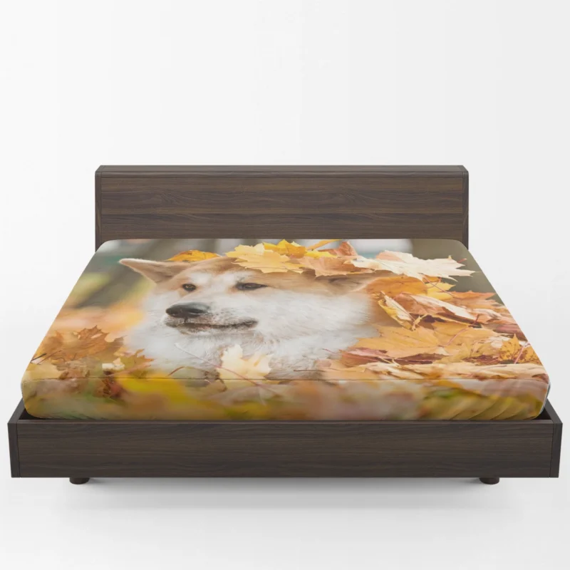 Autumn Leaves and Beauty: The Akita Quartet Fitted Sheet 1