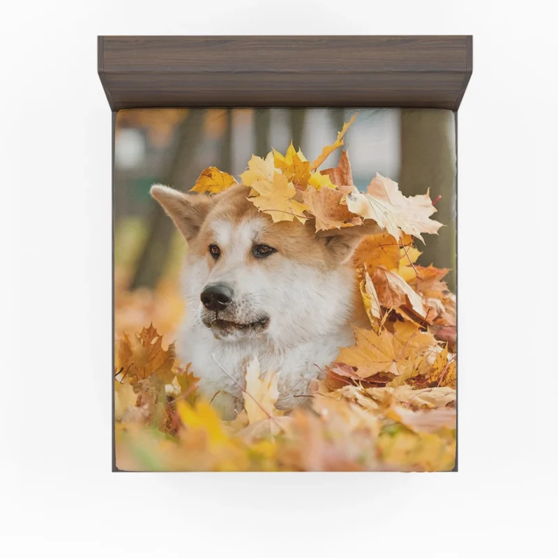 Autumn Leaves and Beauty: The Akita Quartet Fitted Sheet
