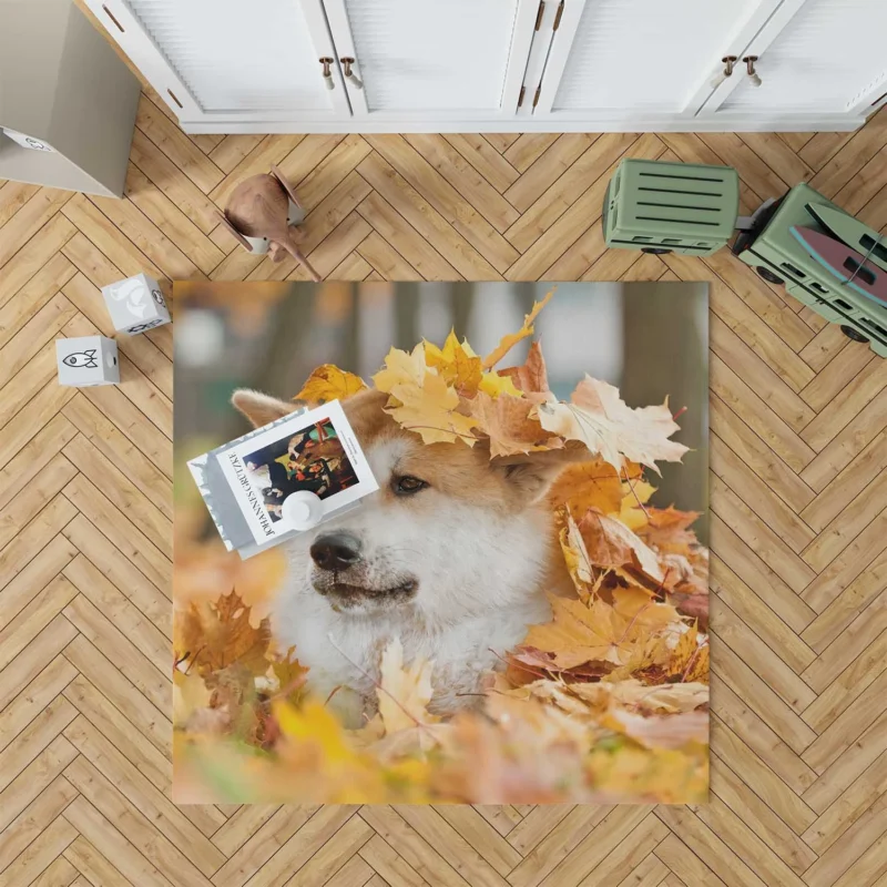 Autumn Leaves and Beauty: The Akita Quartet Floor Rug