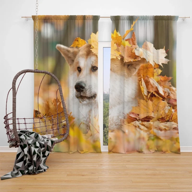 Autumn Leaves and Beauty: The Akita Quartet Window Curtain