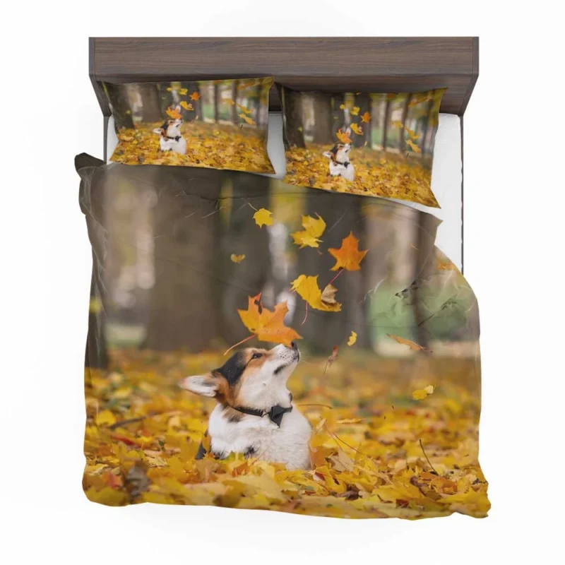 Autumn Leaves with Depth of Field: Corgi Quartet Bedding Set 1