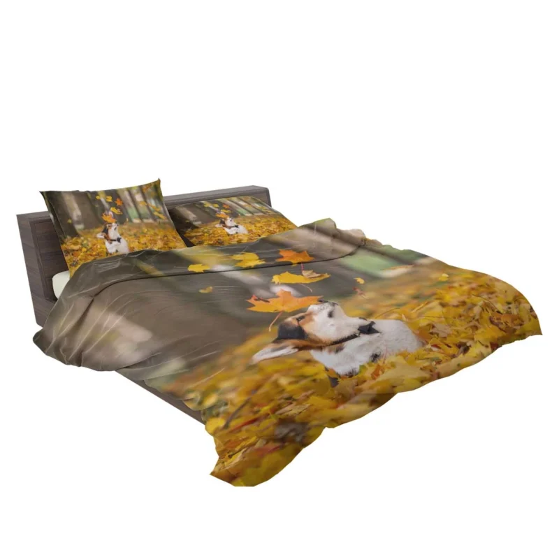 Autumn Leaves with Depth of Field: Corgi Quartet Bedding Set 2