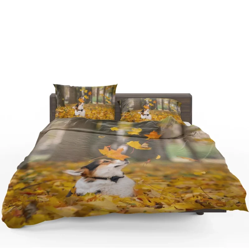 Autumn Leaves with Depth of Field: Corgi Quartet Bedding Set