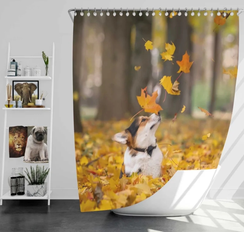 Autumn Leaves with Depth of Field: Corgi Quartet Shower Curtain