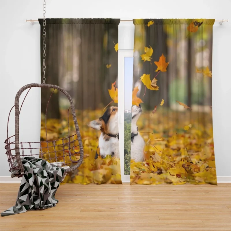 Autumn Leaves with Depth of Field: Corgi Quartet Window Curtain