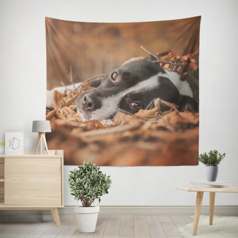 Autumn Muzzle Stares  Bull Terrier Quartet Wall Tapestry