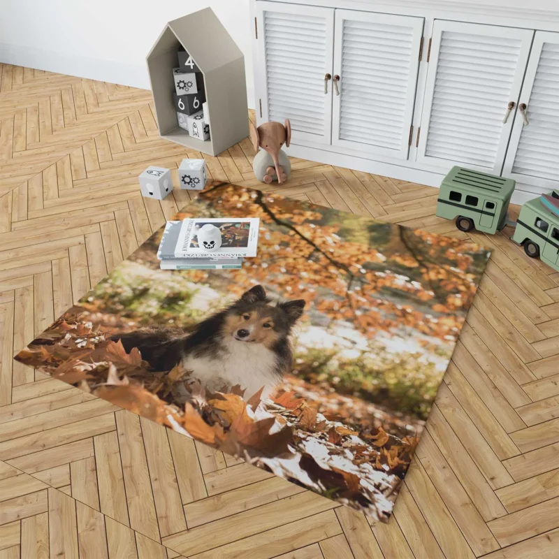 Autumnal Shetland Sheepdog Quartet Floor Rug 1