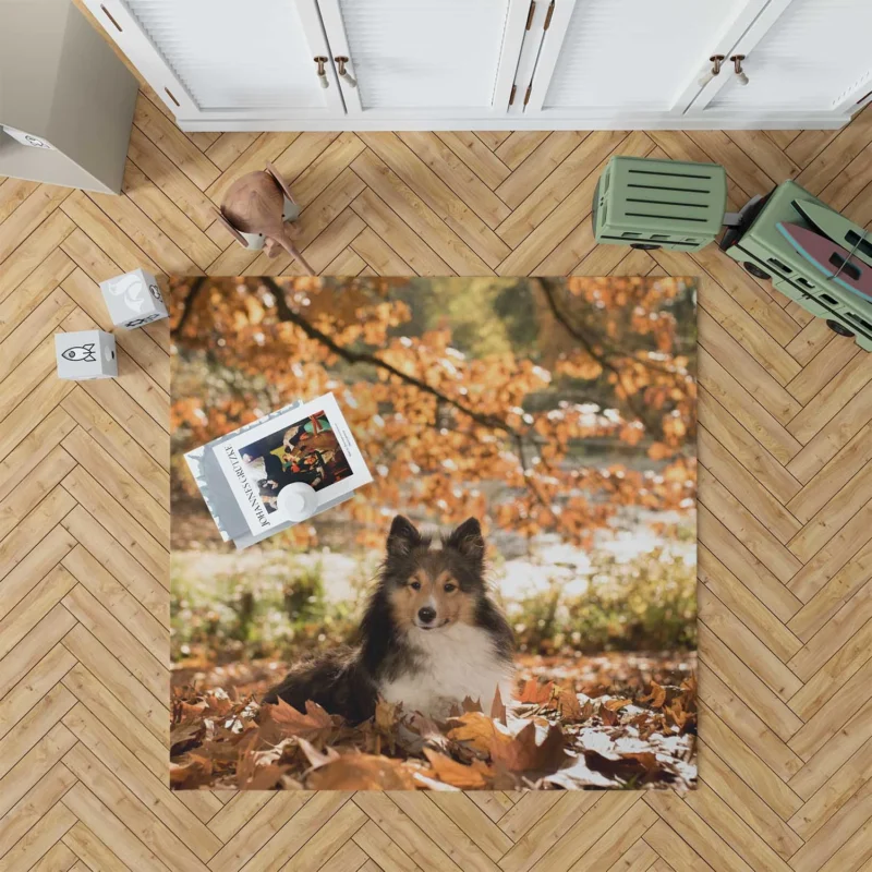 Autumnal Shetland Sheepdog Quartet Floor Rug