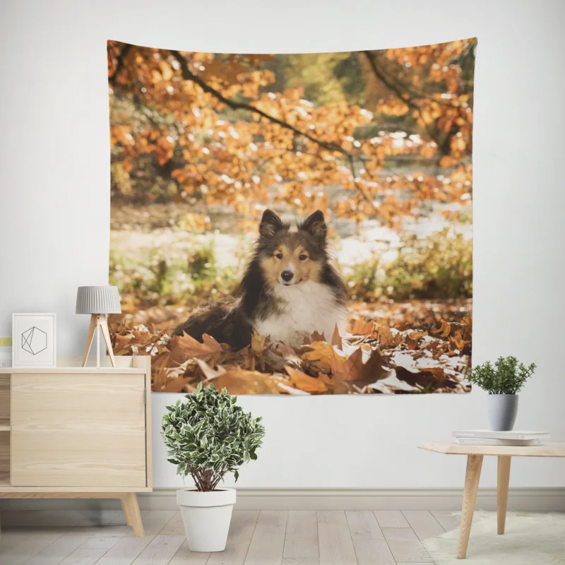 Autumnal Shetland Sheepdog Quartet Wall Tapestry