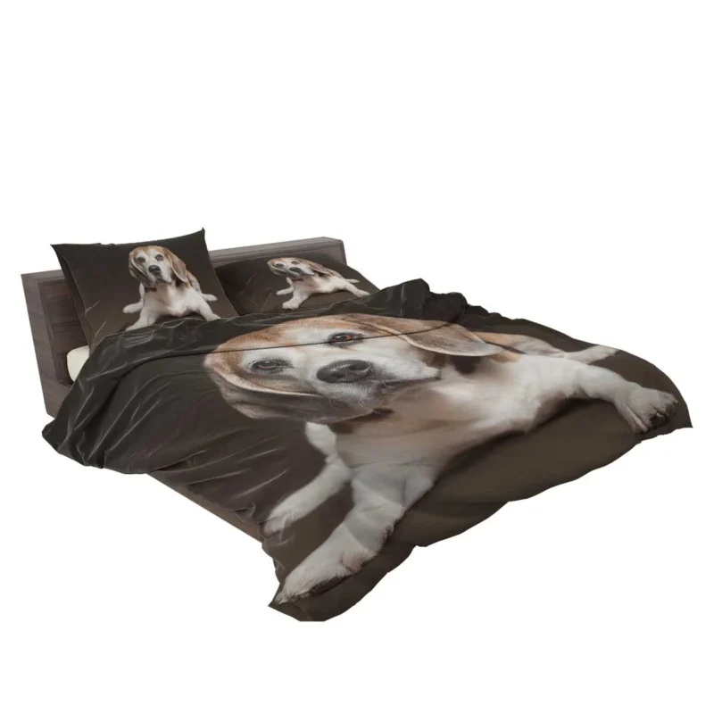 and Beagle Charm: Beagle Bedding Set