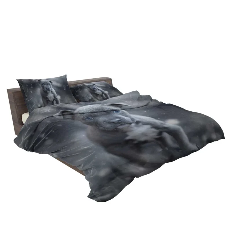 and Canine Charm: American Pit Bull Terrier Bedding Set