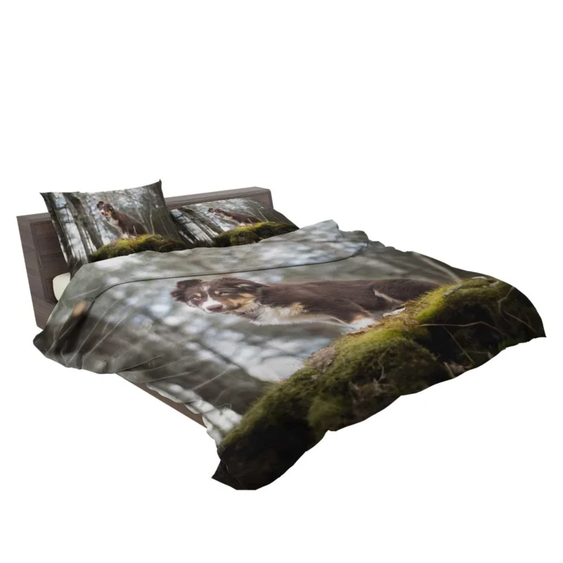 and Canine Playfulness: Australian Shepherd Bedding Set