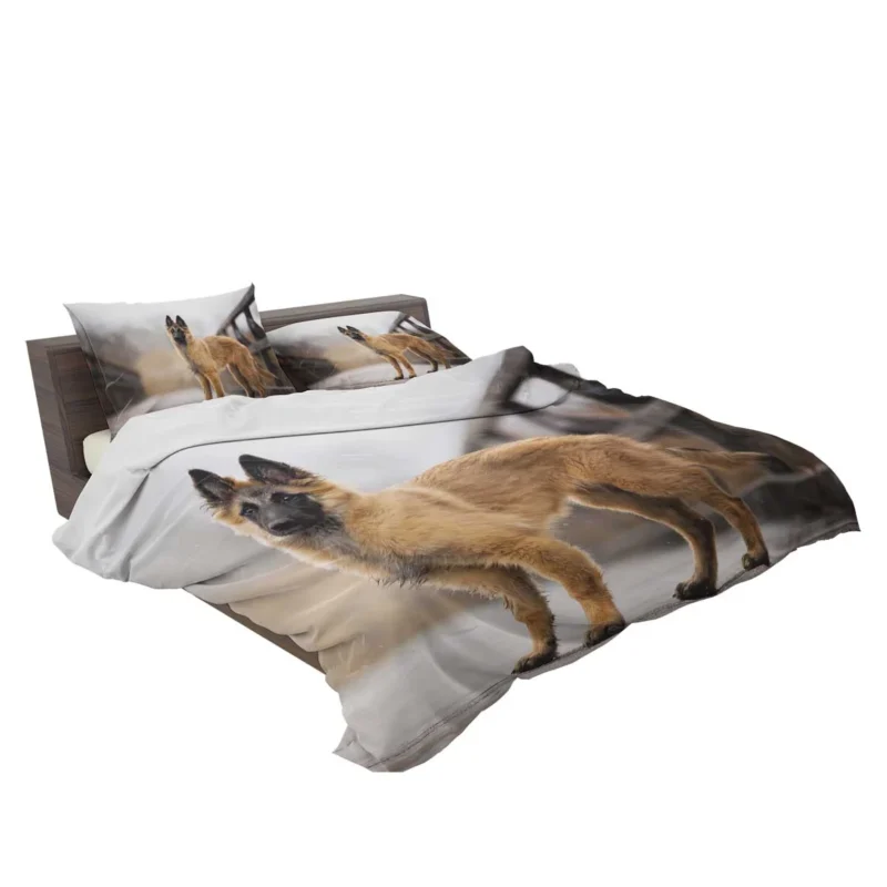 and Depth Of Field: Belgian Shepherd Bedding Set