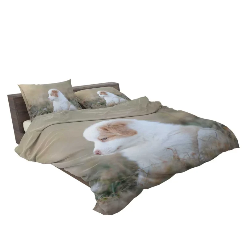 and Playful Charm: Australian Shepherd Bedding Set