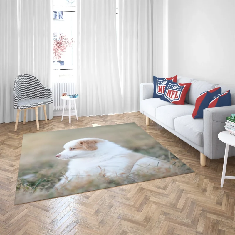 and Playful Charm: Australian Shepherd Floor Rug