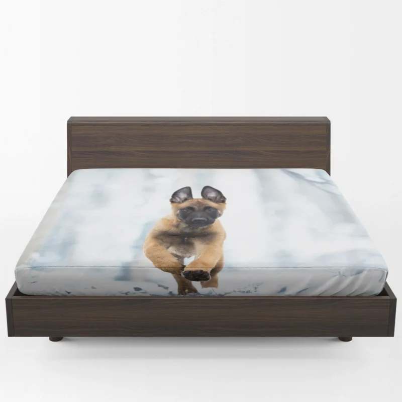 Ba and Puppy Charm: Belgian Malinois Puppy Fitted Sheet 1