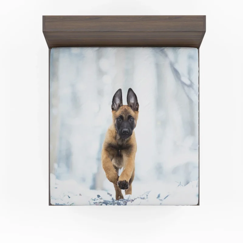 Ba and Puppy Charm: Belgian Malinois Puppy Fitted Sheet