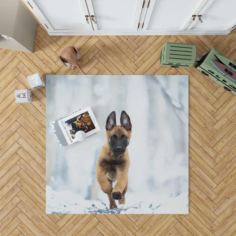 Ba and Puppy Charm: Belgian Malinois Puppy Floor Rug