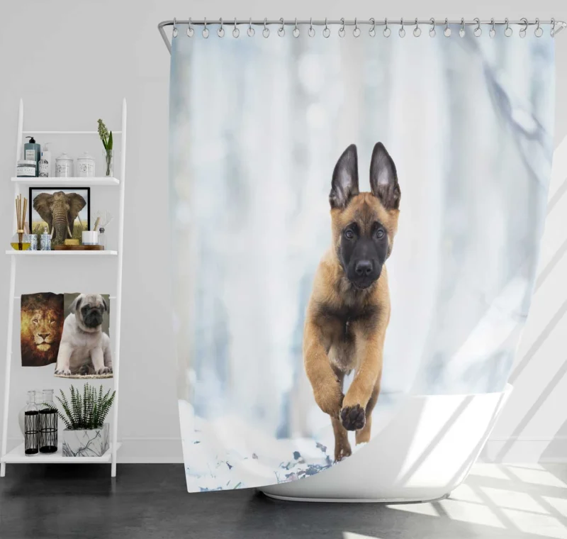 Ba and Puppy Charm: Belgian Malinois Puppy Shower Curtain