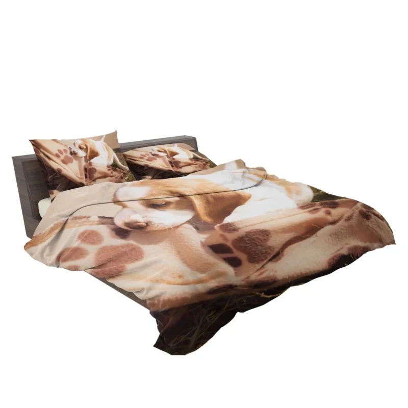 Ba and Puppy Playfulness: Beagle Bedding Set 2