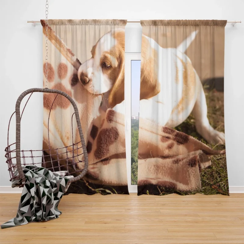 Ba and Puppy Playfulness: Beagle Window Curtain