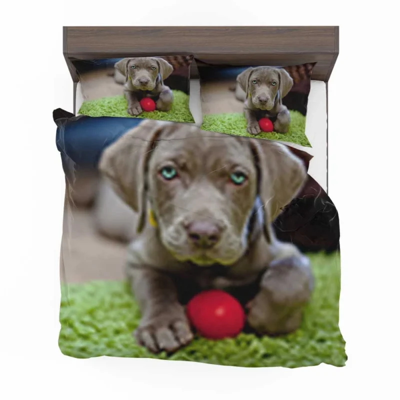 Ball of Fluffy Cuteness: Weimeraner Puppies Bedding Set 1