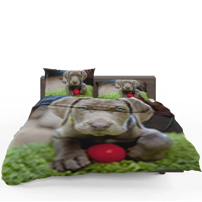 Ball of Fluffy Cuteness: Weimeraner Puppies Bedding Set