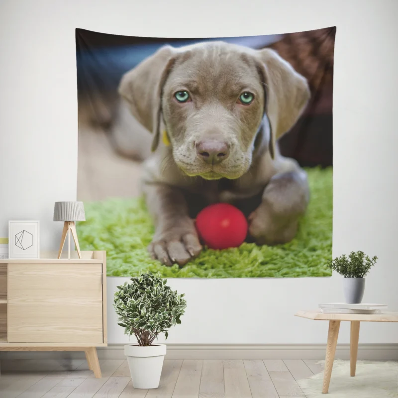 Ball of Fluffy Cuteness  Weimeraner Puppies Wall Tapestry