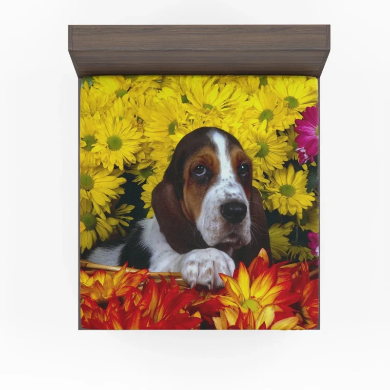 Basket of Flowers and Basset Beauty: Basset Hound Fitted Sheet