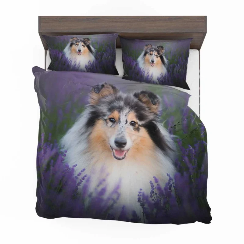 Baskets and Collies: Rough Collie Quartet Bedding Set 1