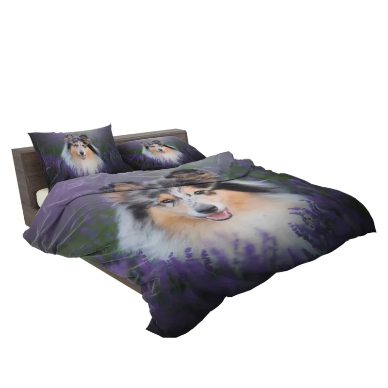 Baskets and Collies: Rough Collie Quartet Bedding Set 2