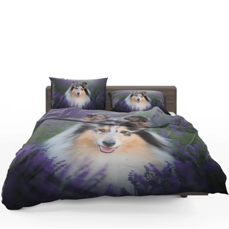 Baskets and Collies: Rough Collie Quartet Bedding Set