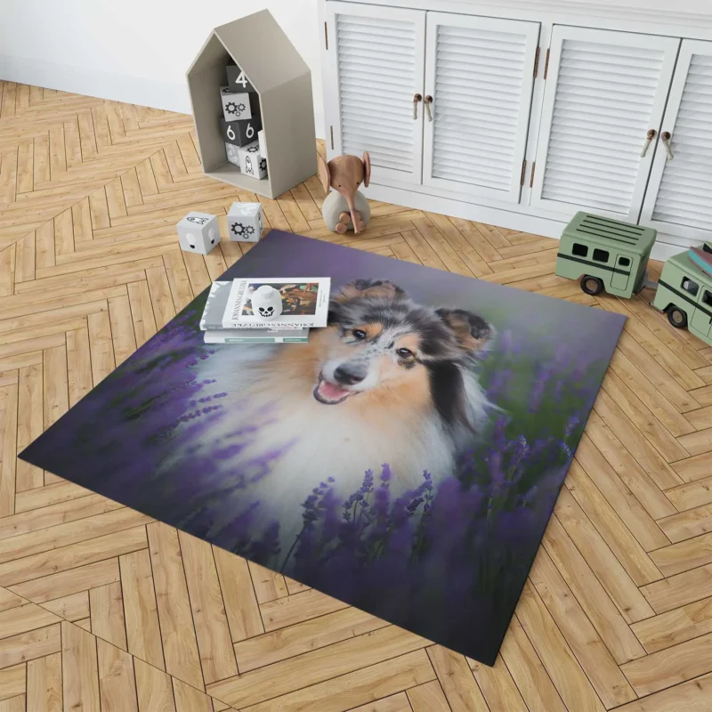 Baskets and Collies: Rough Collie Quartet Floor Rug 1