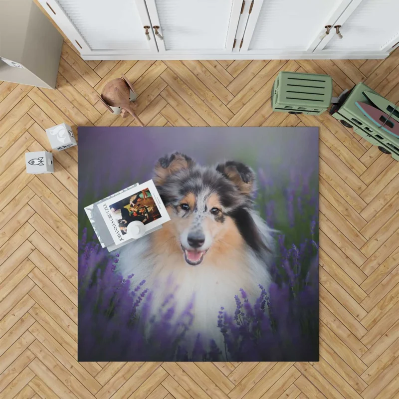 Baskets and Collies: Rough Collie Quartet Floor Rug