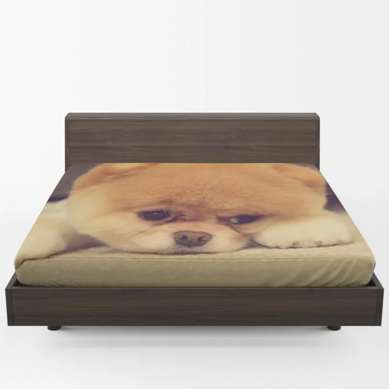 Bauble Joy: Pomeranian Puppy Quartet Fitted Sheet 1