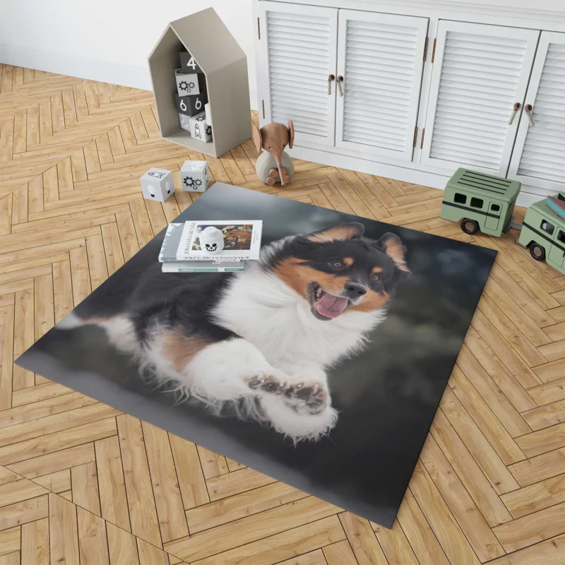 Bauble-Pup Delight: Shetland Sheepdog Quartet Floor Rug 1