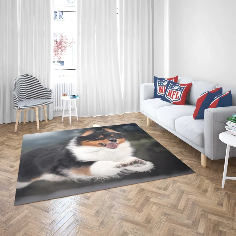 Bauble-Pup Delight: Shetland Sheepdog Quartet Floor Rug 2