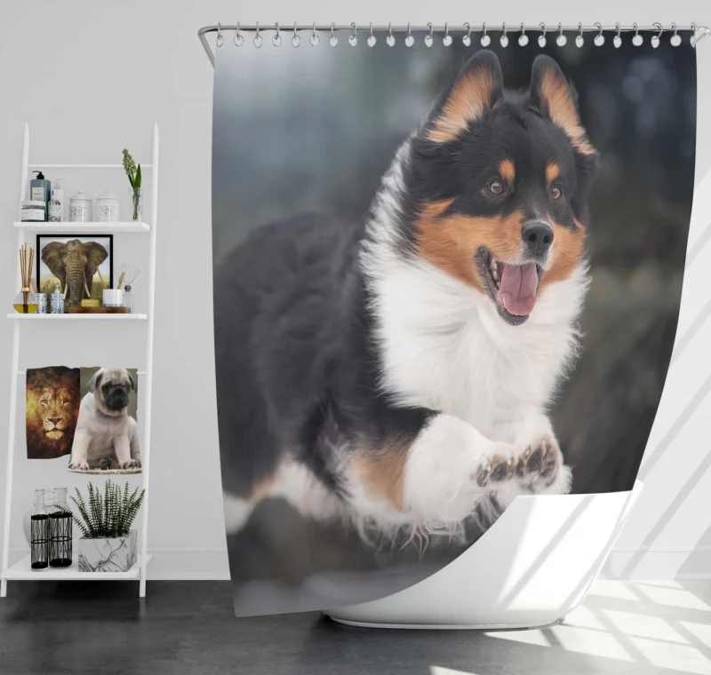 Bauble-Pup Delight: Shetland Sheepdog Quartet Shower Curtain