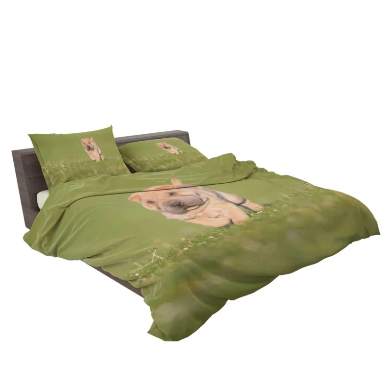 Bauble Puppy Amidst Shar Pei Greenery: Quartet Bedding Set 2