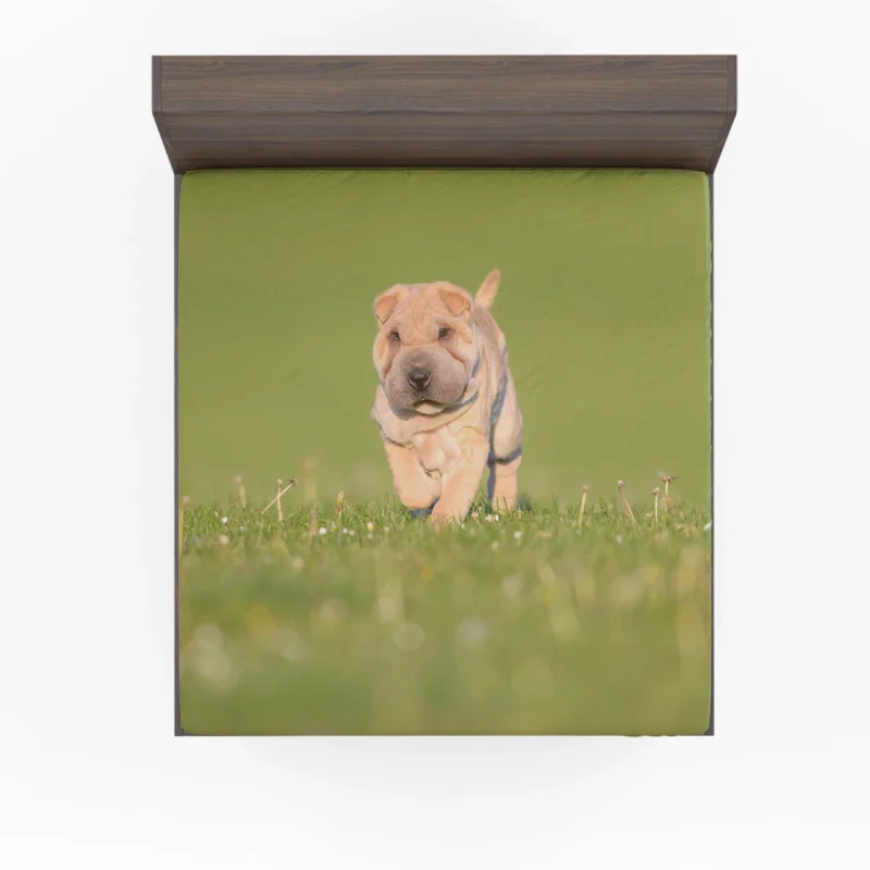 Bauble Puppy Amidst Shar Pei Greenery: Quartet Fitted Sheet