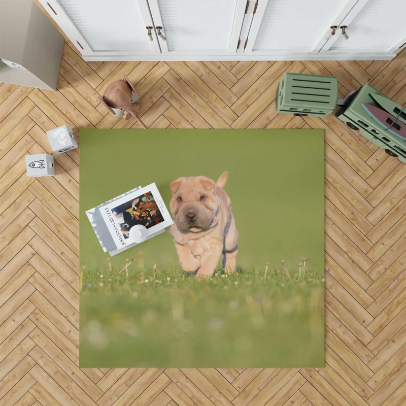 Bauble Puppy Amidst Shar Pei Greenery: Quartet Floor Rug