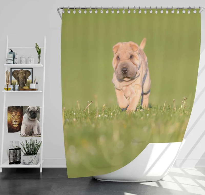 Bauble Puppy Amidst Shar Pei Greenery: Quartet Shower Curtain