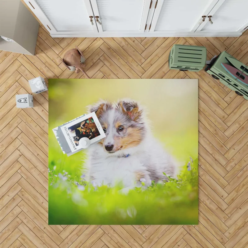 Bauble-Puppy Playfulness: Shetland Sheepdog Quartet Floor Rug