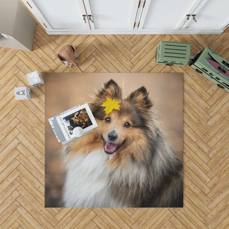 Bauble-Puppy Playtime: Shetland Sheepdogs Floor Rug