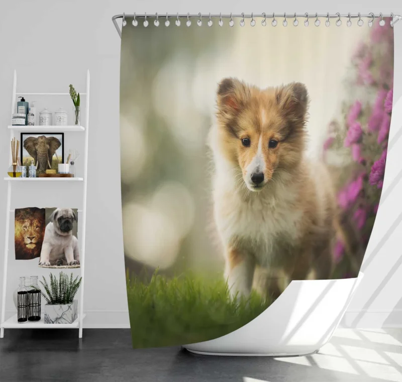 Bauble Pups in Purple Flower Bokeh: Shetland Sheepdog Quartet Shower Curtain