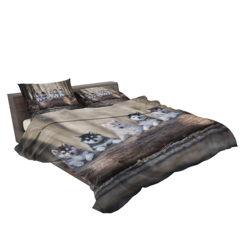 Bauble of Fluffiness: Alaskan Malamute Puppy Quartet Bedding Set 2