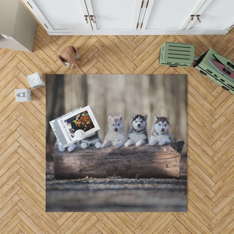 Bauble of Fluffiness: Alaskan Malamute Puppy Quartet Floor Rug