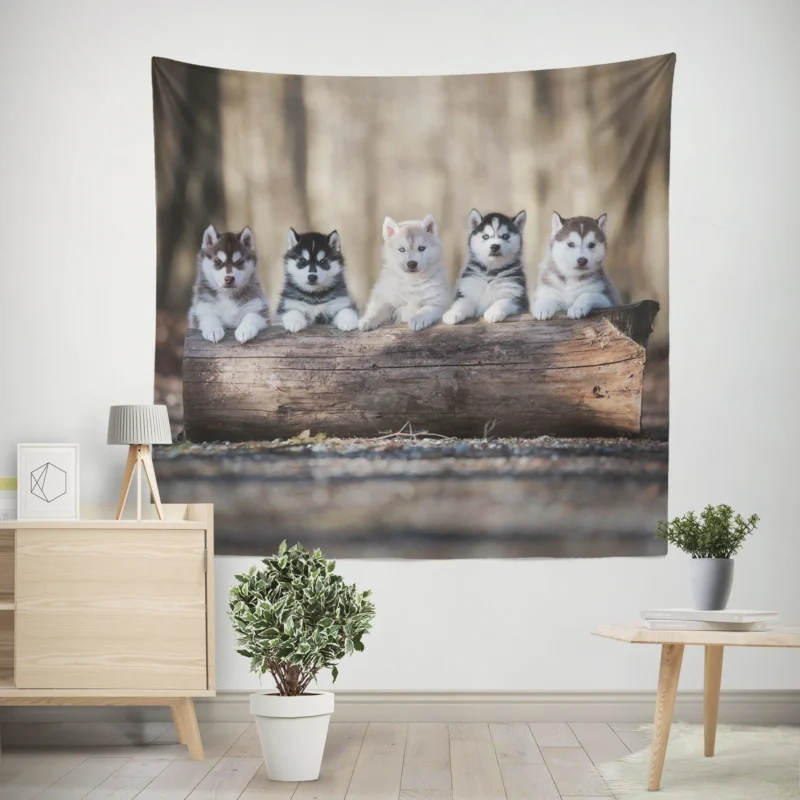 Bauble of Fluffiness  Alaskan Malamute Puppy Quartet Wall Tapestry