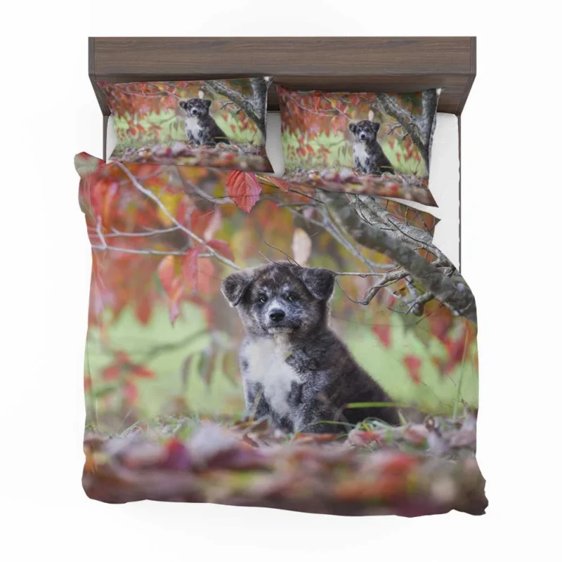 Bauble of Joyful Puppies: The Akita Quartet Bedding Set 1