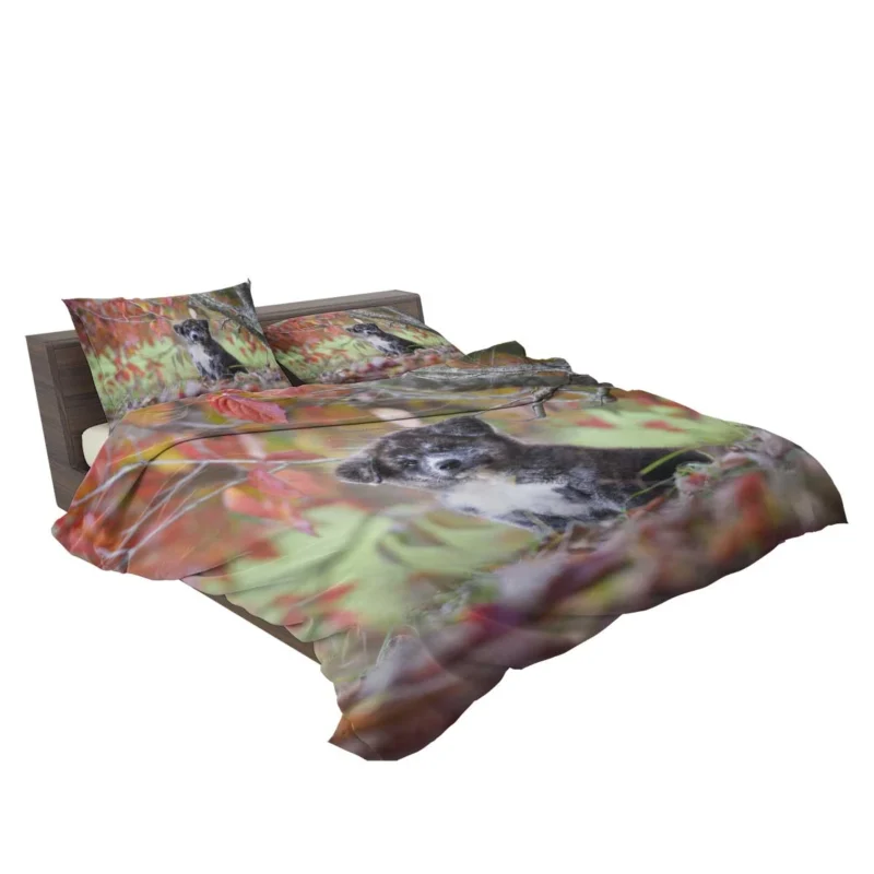 Bauble of Joyful Puppies: The Akita Quartet Bedding Set 2